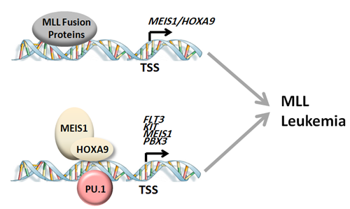 ibet·(正版)官网 -官方app下载