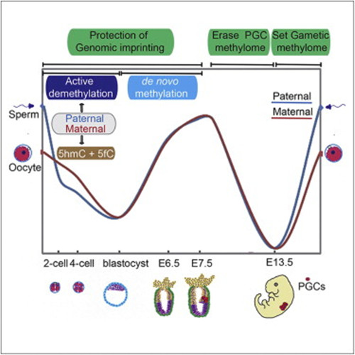 ibet·(正版)官网 -官方app下载