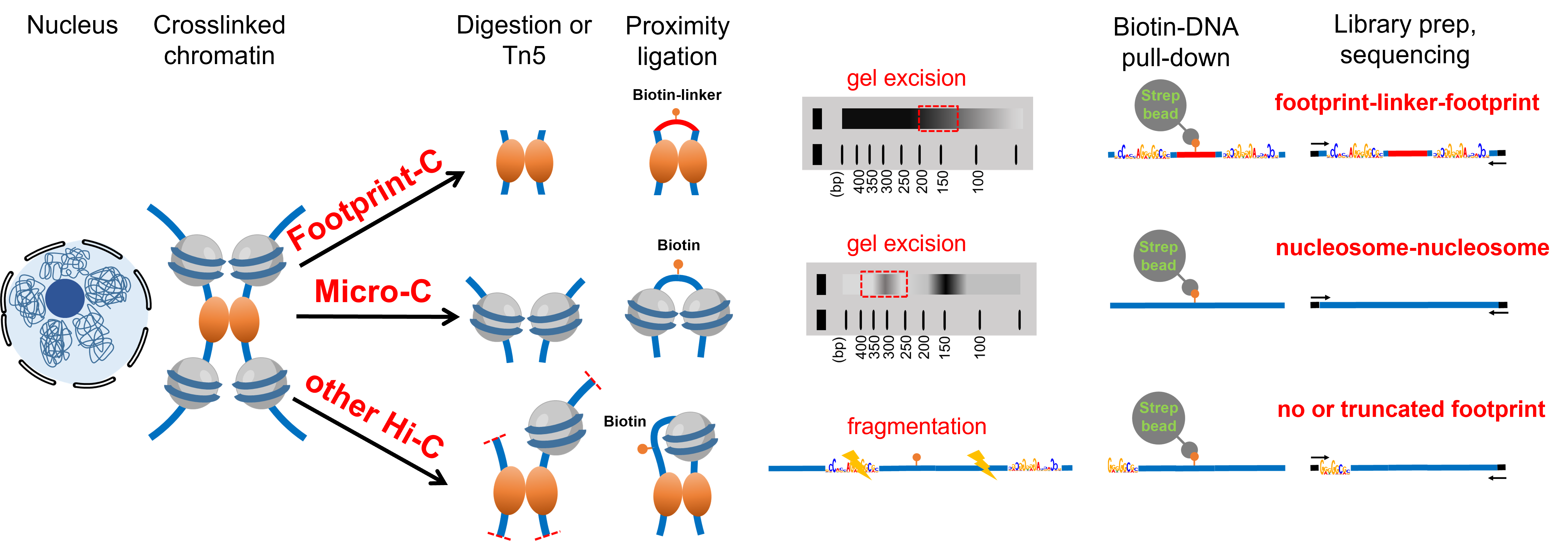 ibet·(正版)官网 -官方app下载
