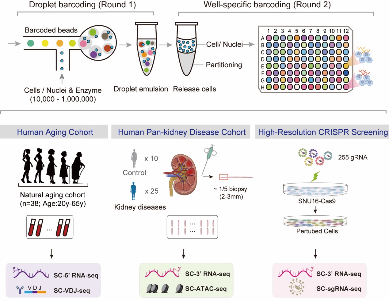 ibet·(正版)官网 -官方app下载