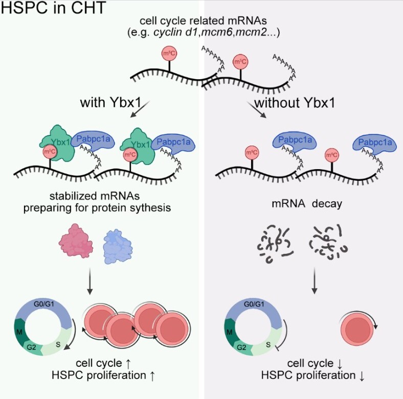 ibet·(正版)官网 -官方app下载