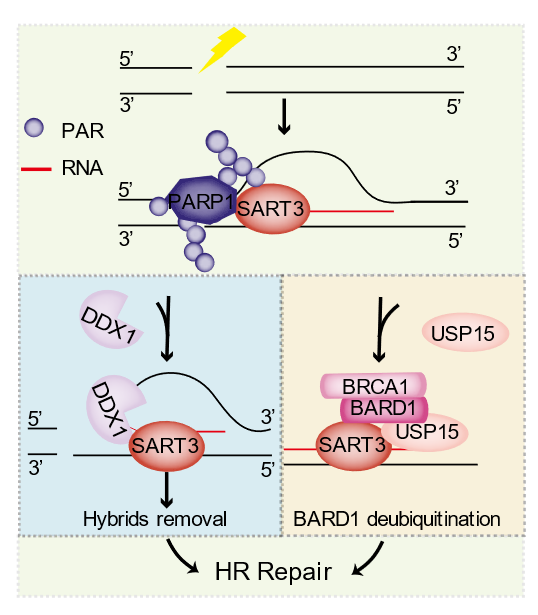 ibet·(正版)官网 -官方app下载