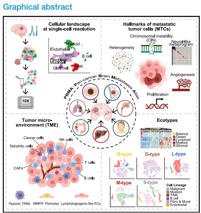 ibet·(正版)官网 -官方app下载