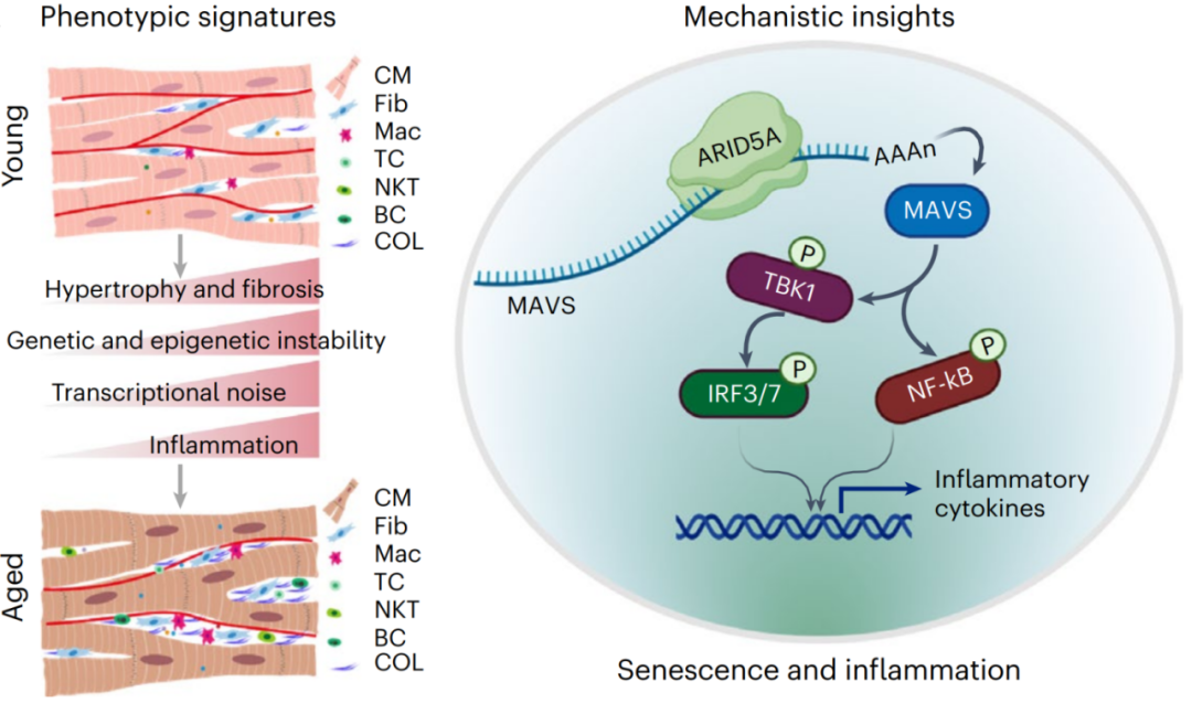 ibet·(正版)官网 -官方app下载