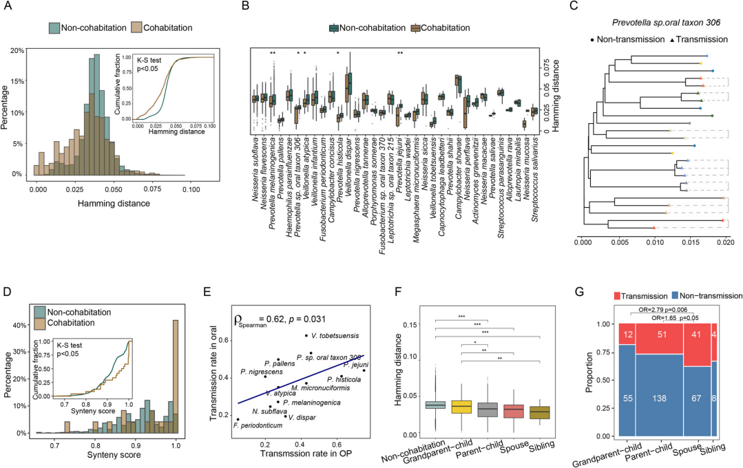 ibet·(正版)官网 -官方app下载