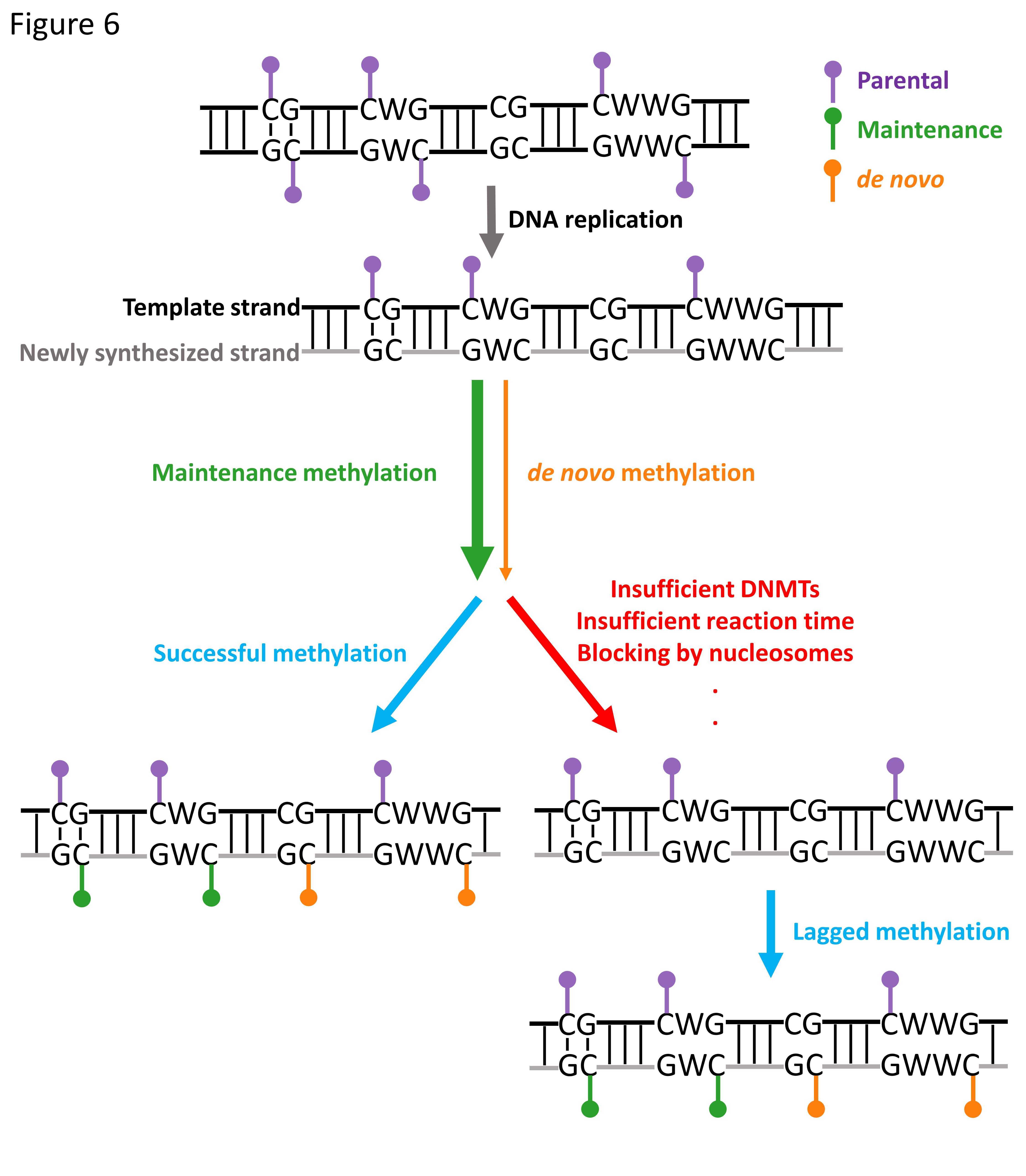 ibet·(正版)官网 -官方app下载